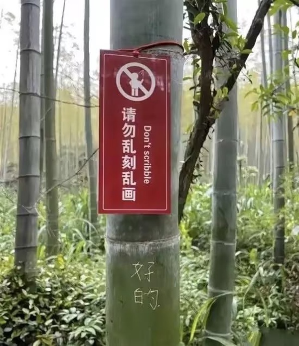 今日沙雕：第一個喝牛奶的人，是如何區(qū)分牛尿和牛奶的宣傳圖41