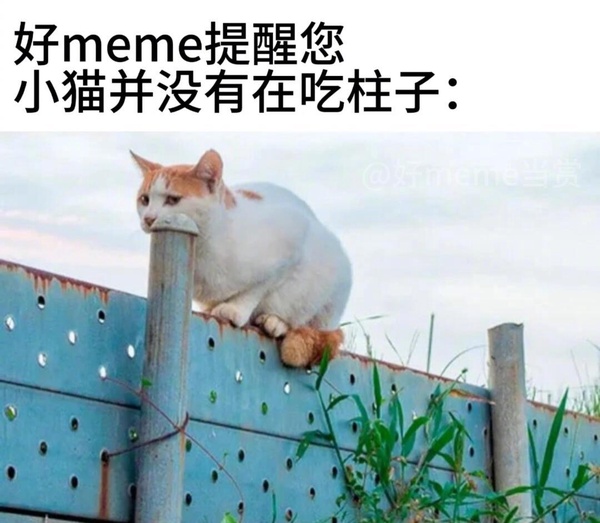 今日沙雕 ：很好奇一件事，啞巴該怎么罵瞎子宣傳圖2