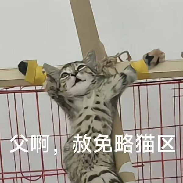 今日沙雕：現(xiàn)在好像都沒有在網(wǎng)上見過清朝的人了，是退網(wǎng)了嗎宣傳圖22