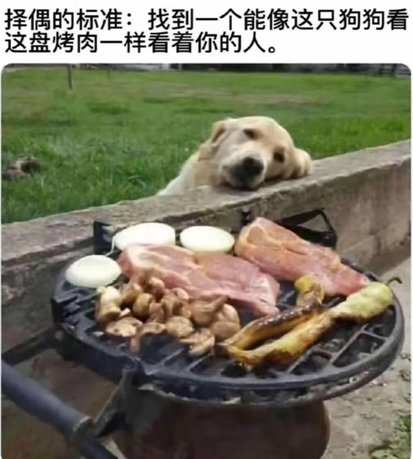 今日沙雕：現(xiàn)在好像都沒有在網(wǎng)上見過清朝的人了，是退網(wǎng)了嗎宣傳圖31