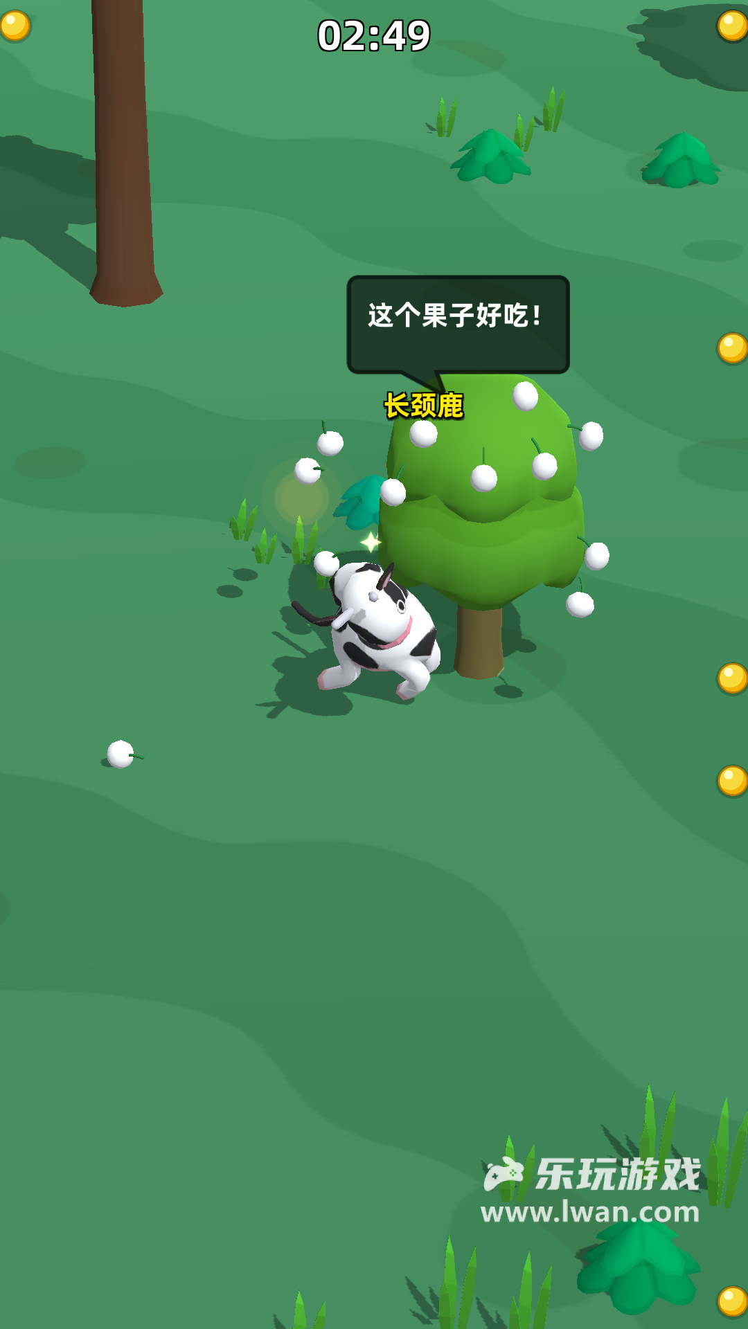長(zhǎng)頸鹿是這樣打架的4
