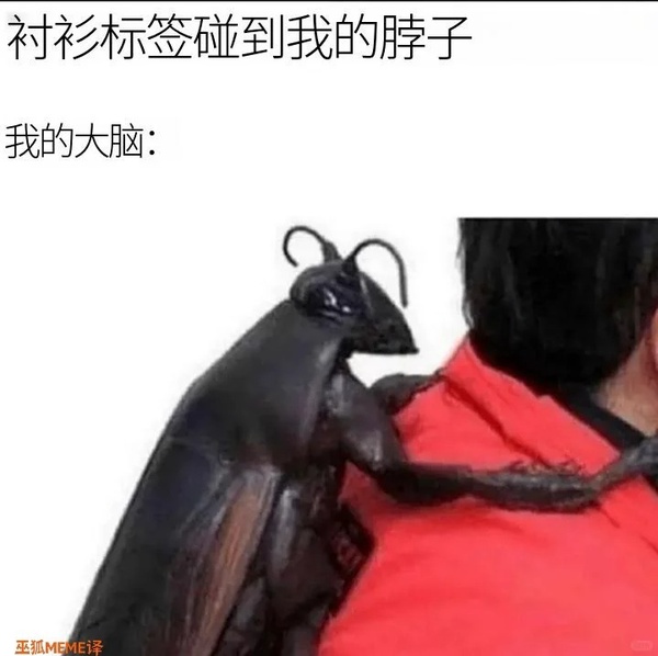 今日沙雕： 人以群分，我加了好幾個(gè)群會(huì)不會(huì)人格分裂宣傳圖1
