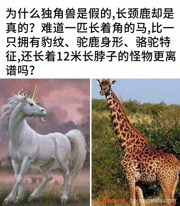 今日沙雕： 人以群分，我加了好幾個(gè)群會(huì)不會(huì)人格分裂宣傳圖2