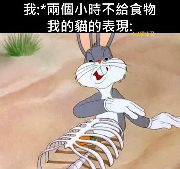 今日沙雕： 人以群分，我加了好幾個(gè)群會(huì)不會(huì)人格分裂宣傳圖5