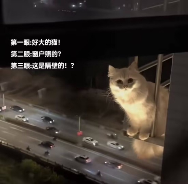 今日沙雕： 人以群分，我加了好幾個(gè)群會(huì)不會(huì)人格分裂宣傳圖32