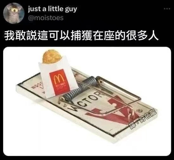 今日沙雕：小偷來(lái)的時(shí)候再插監(jiān)控不是更省電嗎宣傳圖26