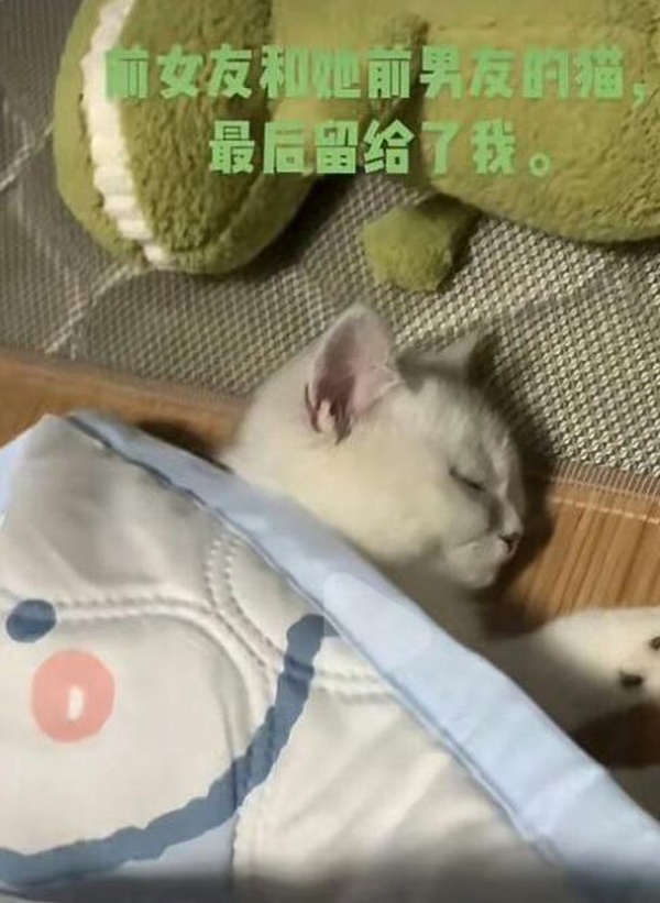 今日沙雕：小偷來(lái)的時(shí)候再插監(jiān)控不是更省電嗎宣傳圖50