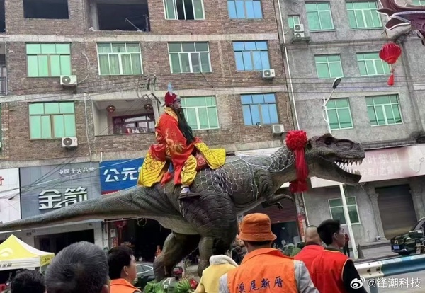 今日沙雕：小偷來(lái)的時(shí)候再插監(jiān)控不是更省電嗎宣傳圖55
