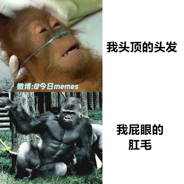 今日沙雕：小偷來(lái)的時(shí)候再插監(jiān)控不是更省電嗎宣傳圖63