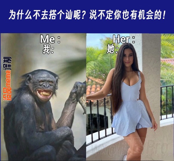 今日沙雕：小偷來(lái)的時(shí)候再插監(jiān)控不是更省電嗎宣傳圖72