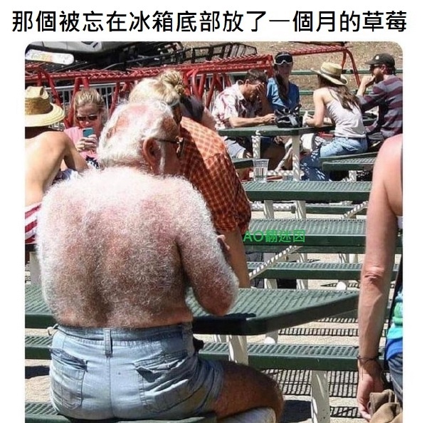 今日沙雕： 都說秦國法律嚴(yán)苛，項(xiàng)羽這么大的縱火罪也沒人管啊宣傳圖2