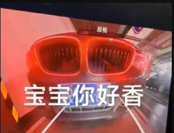 今日沙雕： 都說秦國法律嚴(yán)苛，項(xiàng)羽這么大的縱火罪也沒人管啊宣傳圖9