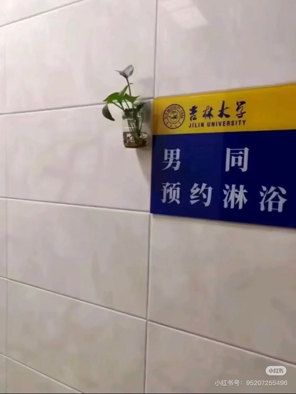 今日沙雕： 都說秦國法律嚴(yán)苛，項(xiàng)羽這么大的縱火罪也沒人管啊宣傳圖11