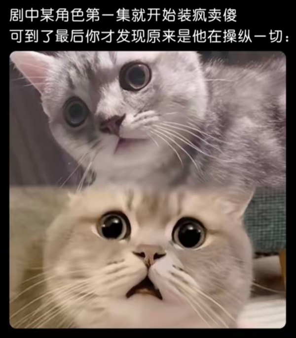 今日沙雕： 都說秦國法律嚴(yán)苛，項(xiàng)羽這么大的縱火罪也沒人管啊宣傳圖66