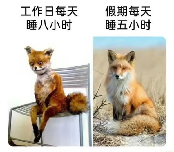 今日沙雕：“沒想到相親對象是輛公交車”擎天柱說宣傳圖27