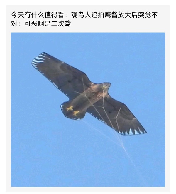 今日沙雕：“沒想到相親對象是輛公交車”擎天柱說宣傳圖36