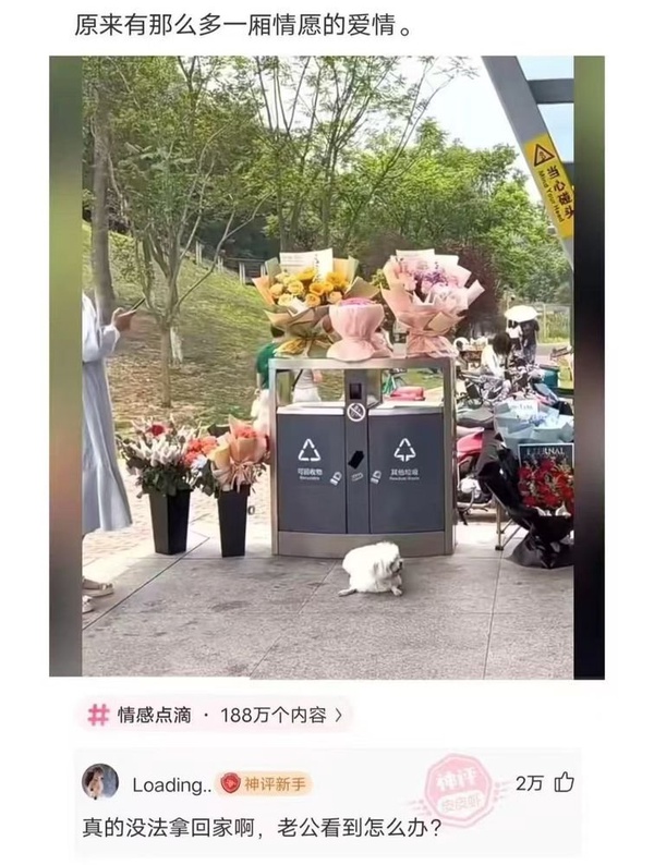 今日沙雕：“沒想到相親對象是輛公交車”擎天柱說宣傳圖50