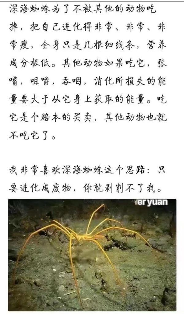 今日沙雕：無神論者王老漢竟當(dāng)眾喝咖啡提神宣傳圖11