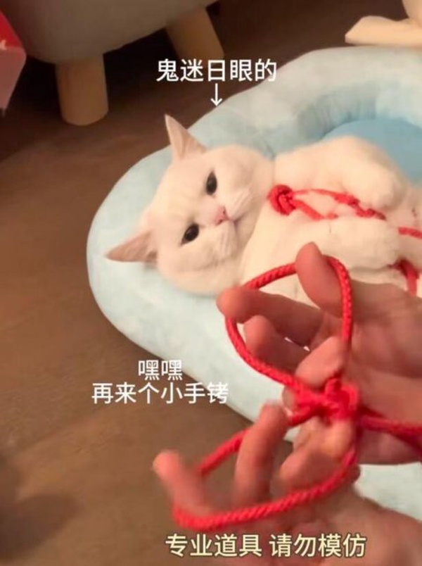 今日沙雕：無神論者王老漢竟當(dāng)眾喝咖啡提神宣傳圖42