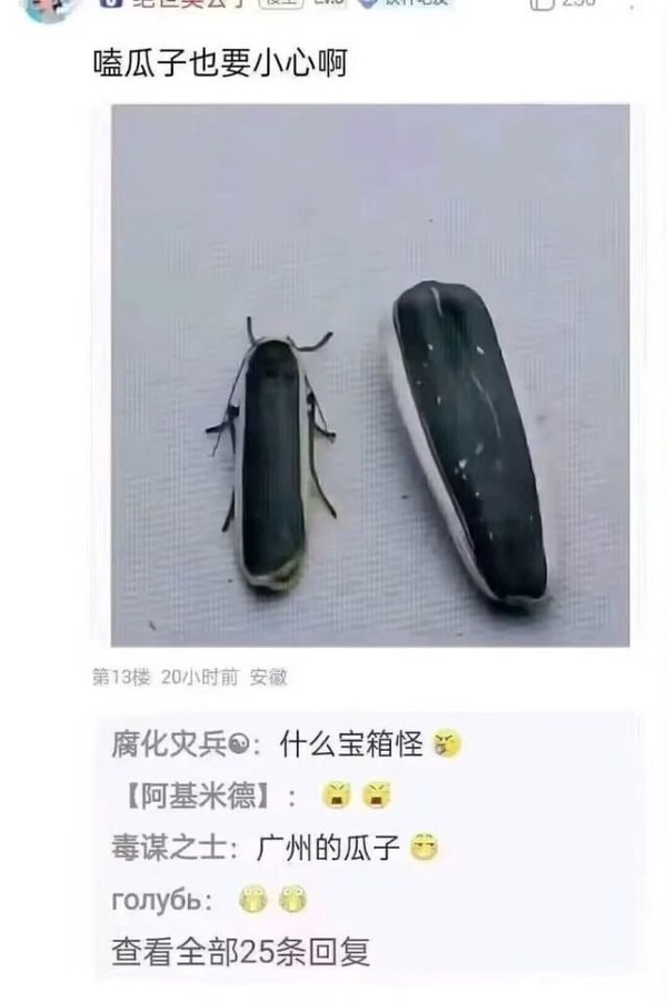 今日沙雕： 媽媽砸了我的手辦算不算婆媳矛盾宣傳圖5
