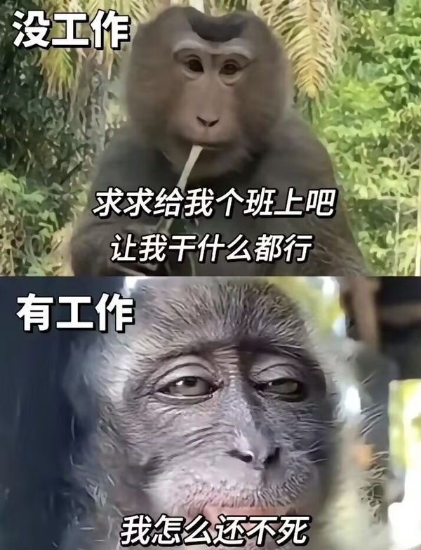 今日沙雕： 媽媽砸了我的手辦算不算婆媳矛盾宣傳圖21