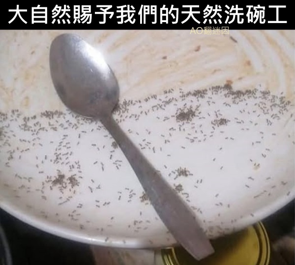 今日沙雕：英語課本怎么沒有任何漢化組接活宣傳圖3
