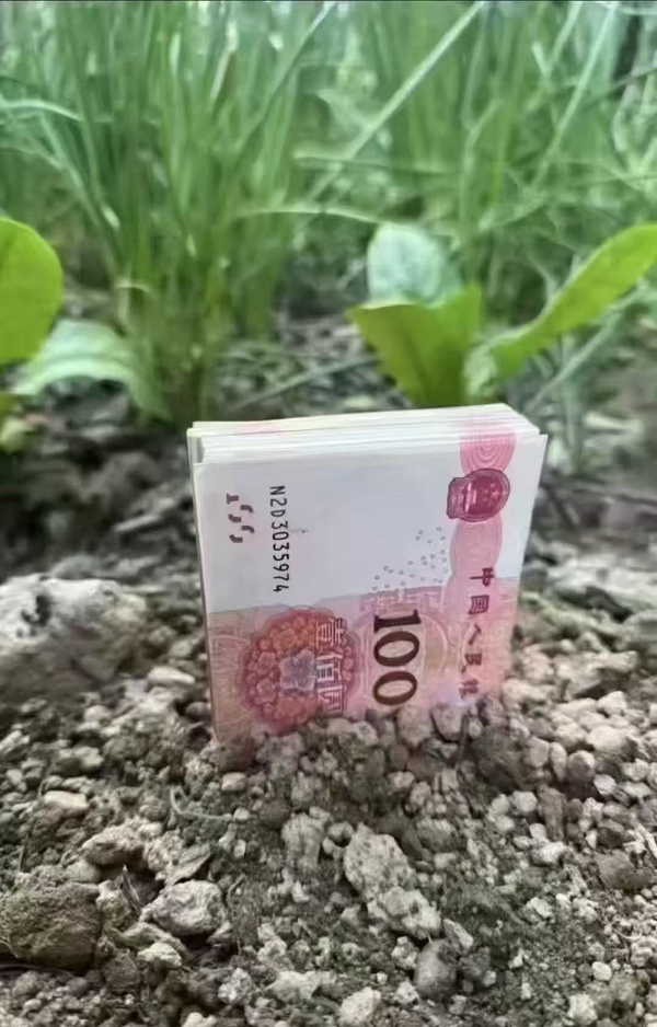 今日沙雕：英語課本怎么沒有任何漢化組接活宣傳圖15