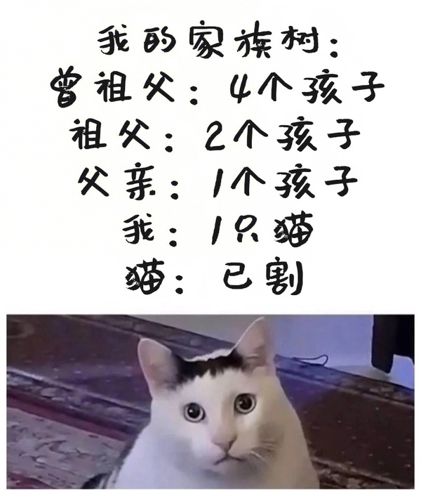 今日沙雕：英語課本怎么沒有任何漢化組接活宣傳圖59