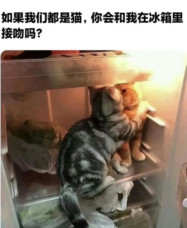 今日沙雕：英語課本怎么沒有任何漢化組接活宣傳圖79