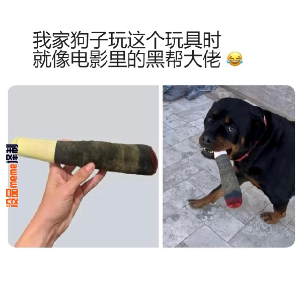 今日沙雕：英語課本怎么沒有任何漢化組接活宣傳圖88