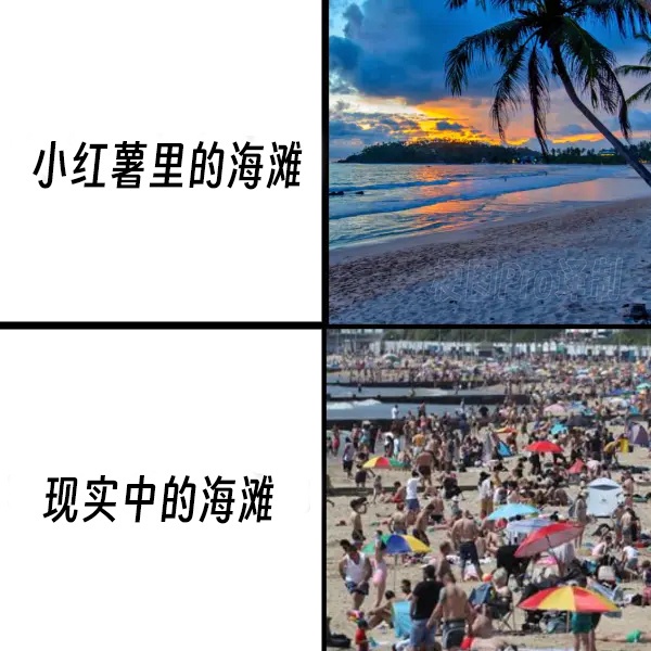 今日沙雕：英語課本怎么沒有任何漢化組接活宣傳圖92