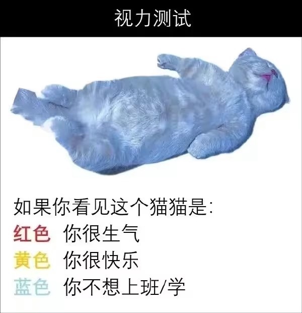 今日沙雕： 一斤棉花和一斤鐵，同時掉進(jìn)水里你先救誰？宣傳圖11