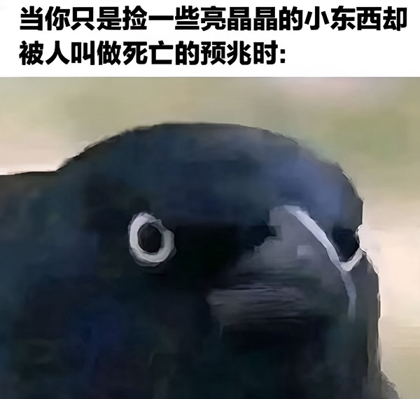 今日沙雕： 一斤棉花和一斤鐵，同時掉進(jìn)水里你先救誰？宣傳圖26