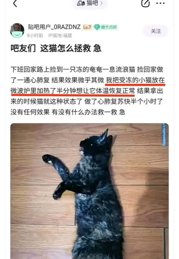 今日沙雕：人體組織怎么加入？有晉升空間嗎？宣傳圖68