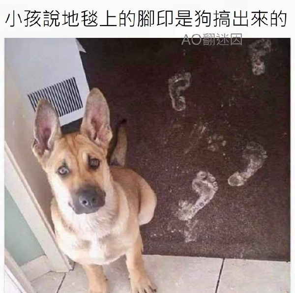 今日沙雕： 西藥房怎么在醫(yī)院東邊？宣傳圖4
