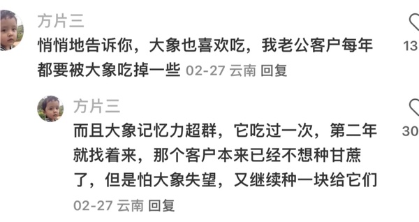 今日沙雕： 西藥房怎么在醫(yī)院東邊？宣傳圖11