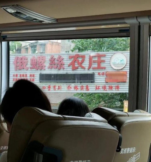 今日沙雕： 西藥房怎么在醫(yī)院東邊？宣傳圖42