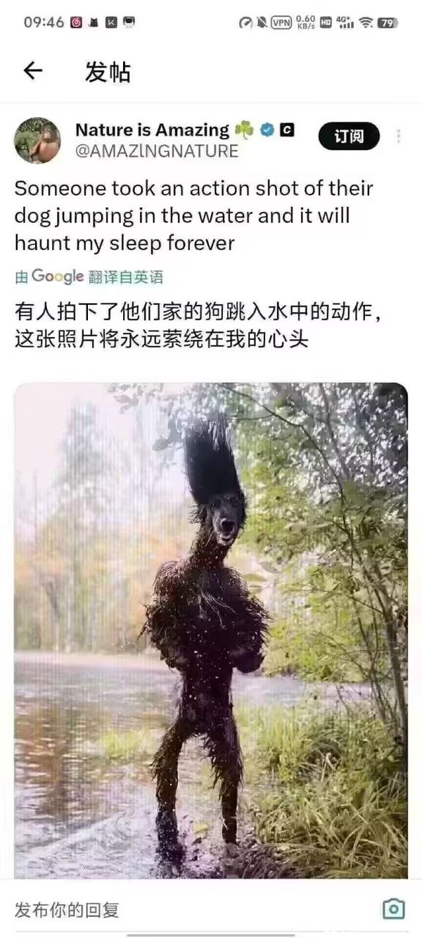 今日沙雕： 西藥房怎么在醫(yī)院東邊？宣傳圖57