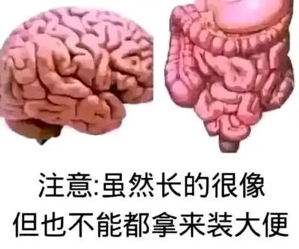 今日沙雕： 西藥房怎么在醫(yī)院東邊？宣傳圖79