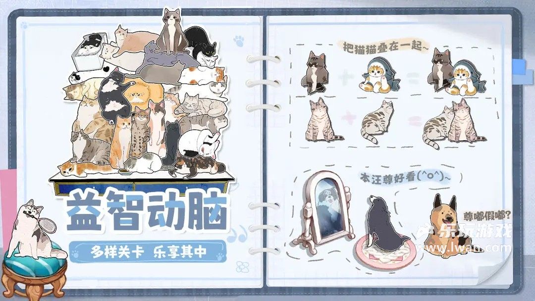 擠在一起的貓貓2