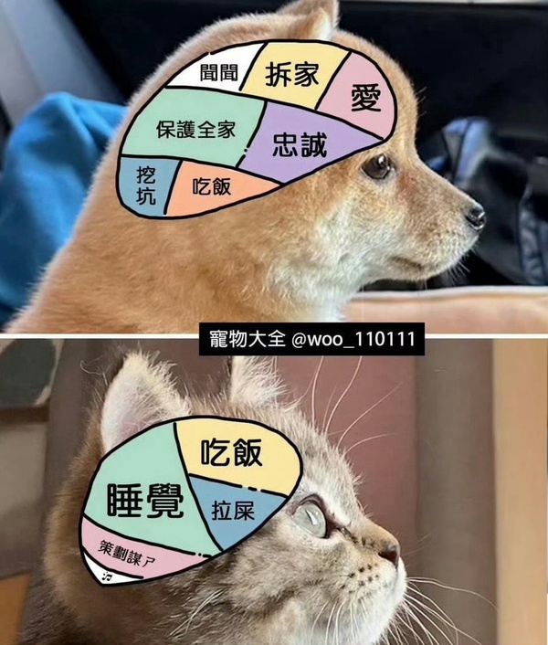 今日沙雕：地球這么愛自轉(zhuǎn)是在吸引我的注意力嗎？宣傳圖13
