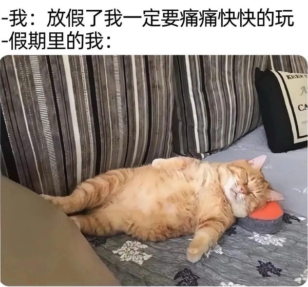 今日沙雕：地球這么愛自轉(zhuǎn)是在吸引我的注意力嗎？宣傳圖16