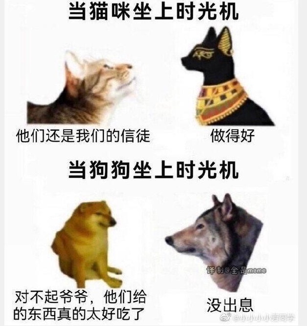 今日沙雕：地球這么愛自轉(zhuǎn)是在吸引我的注意力嗎？宣傳圖50
