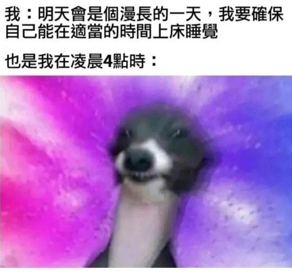 今日沙雕：地球這么愛自轉(zhuǎn)是在吸引我的注意力嗎？宣傳圖57