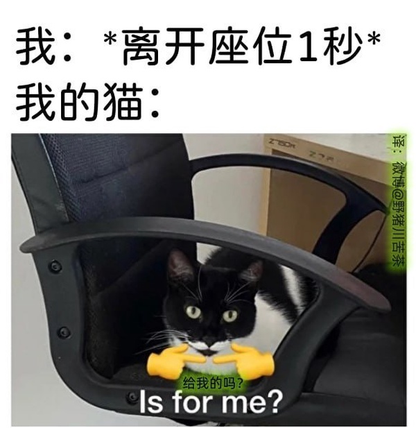 今日沙雕： 為什么我已經(jīng)從房間走到戶外了，手機(jī)還顯示空間不足?宣傳圖13