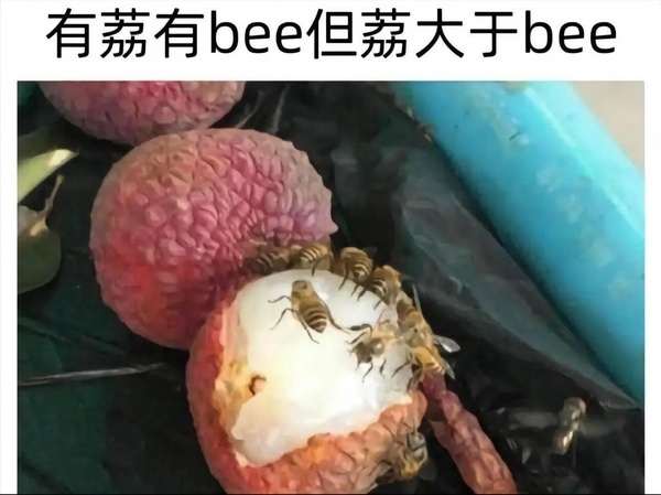 今日沙雕： 為什么我已經(jīng)從房間走到戶外了，手機(jī)還顯示空間不足?宣傳圖21