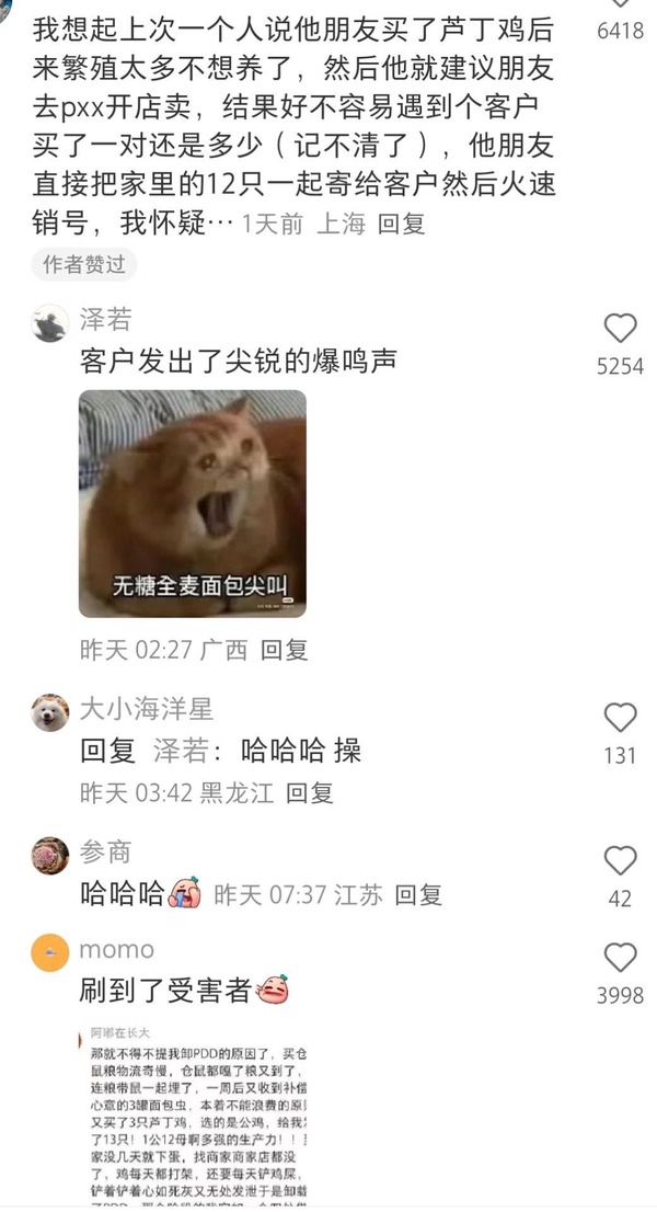 今日沙雕： 為什么我已經(jīng)從房間走到戶外了，手機(jī)還顯示空間不足?宣傳圖47