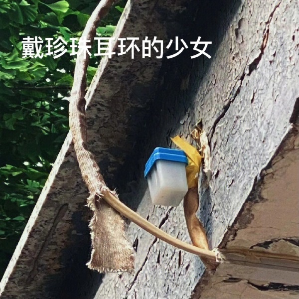 今日沙雕： 為什么我已經(jīng)從房間走到戶外了，手機(jī)還顯示空間不足?宣傳圖46