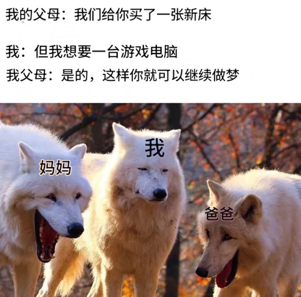 今日沙雕： 為什么我已經(jīng)從房間走到戶外了，手機(jī)還顯示空間不足?宣傳圖51