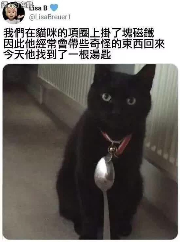 今日沙雕： “要是時(shí)間能倒流就好了” 拉完屎的男桐幻想道宣傳圖88